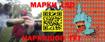 прущий лед Будённовск